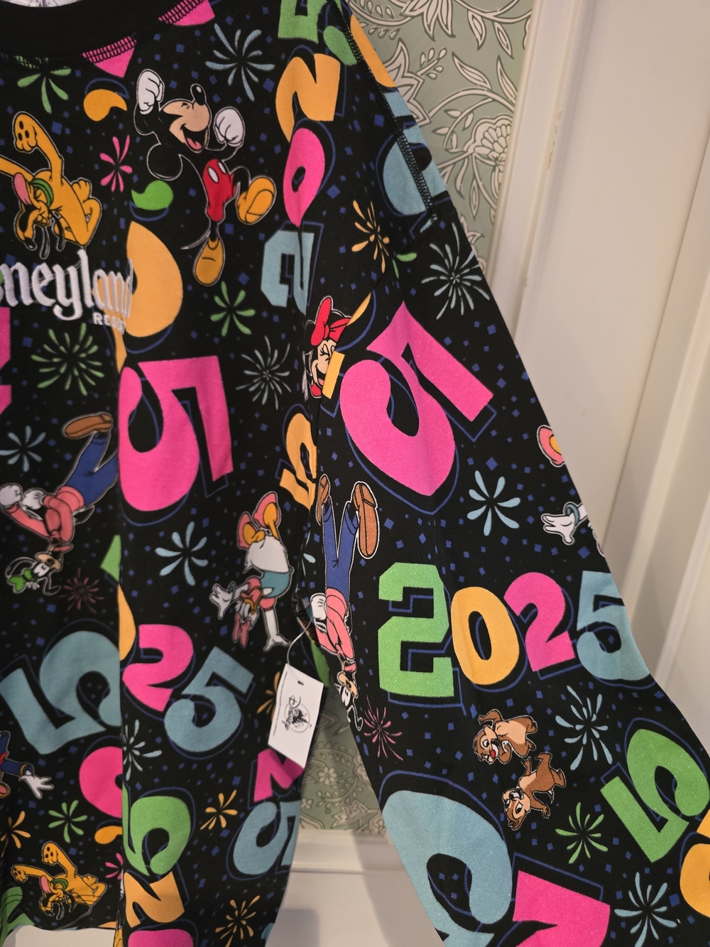 Disney Parks Disneyland Resort 2025 Mickey and Friends Spirit Jersey - Picture 6 of 10